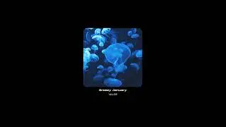 Nekfeu x Damso Type Beat 