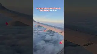 Sightseeing the clouds inside the plane #shortvideo #shorts #ytshorts