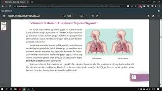 Turkuaz Fen'den Sunum &Ouml;devi | Solunum Sistemi