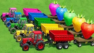 TRANSPORTING Mini TRACTOR, BIG FRUIT TO SELL POINTS - Farming Simulator 22