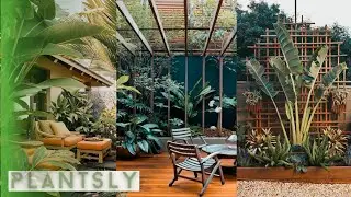 BEAUTIFUL TROPICAL GARDEN 2022 | Modern tropical garden