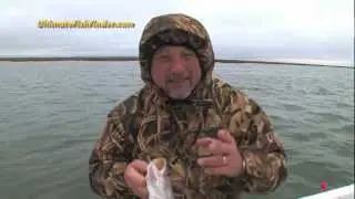 Delacroix Specks and Reds in January