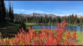 The Best of Revelstoke Mountain Biking - Keystone Standard Basin 2022