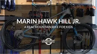 Marin Hawk Hill Jr Review - A 