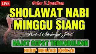 LIVE Sholawat & Nasheed with Peaceful Islamic Music || Sholawat Jibril Muhammad SAW.