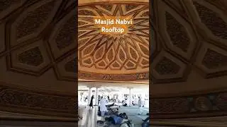Rooftop of masjid nabvi #beautiful #love