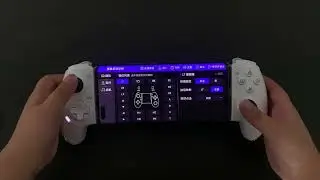 Stick and trigger calibration tutorial