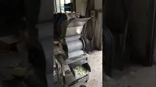 Pineapple Crushing Machine Industrial Fruit Vegetable puree machine