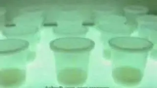 Thai Optometrist Commercial