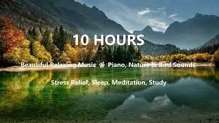 10 HOURS of Deep Sleep Piano, Nature & Bird Sounds for Sleeping All Night