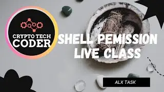 Shell permission live class