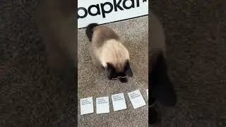 Cards Against Humanity