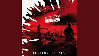 Lieve (Live 2024)
