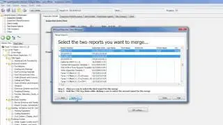 Data Manager   Merge