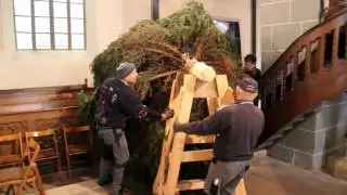 So wurde der Weihnachtsbaum in der Altstädter Kirche aufgestellt