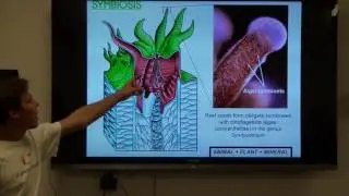 Rescue a Reef Lecture Dalton Hesley | Key Biscayne Citizen Scientist| 2015