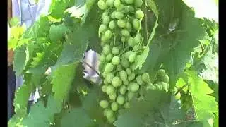 Фильм Рудченко 2009г