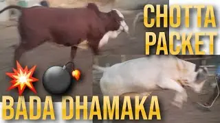 Chotta Packet Bada Dhamaka 💣💥 || Sam Entertainment By Sameed