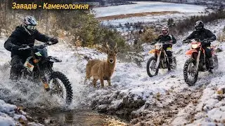 Kovi Advance 300 | Сніг 2.2 | нежданчики, козуля, інші | Завадів - Каменоломня