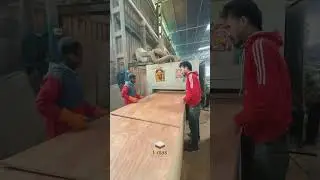 Best The Ultimate Choice for Quality Craftsmanship | Lomas Plywood Industries