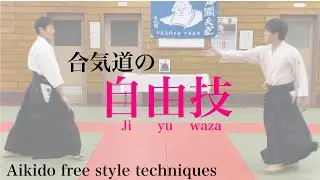 合気道 技法動画その11（自由技）