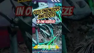 Onion Trimming Tool That Cuts Both Top and Root in One Motion