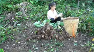New China blog 😂|| China farm video|| China Village Farm Life || चीन का देसी खेत|| #viral #vlog 