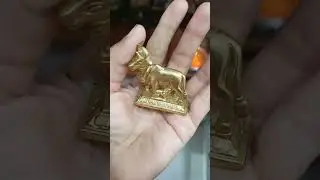 #brass cow calf