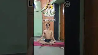 beginners yoga poses.                                   #YogaJourney #motivation #inspiration #short