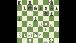 Drtina Milan (SVK) VS Petrik Stanislav (SVK)
