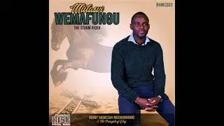 Benny Hadassah Muzanamombe  - Ziso raMwari (Official Audio)
