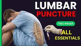 Lumbar Puncture & CSF Analysis: Indications, Steps and Results