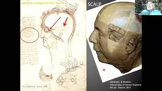 The Da Vinci Code &ndash; Anatomy and Art for the 21st Century