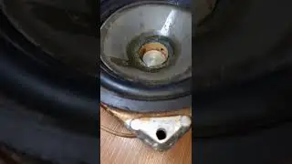 бас динамика