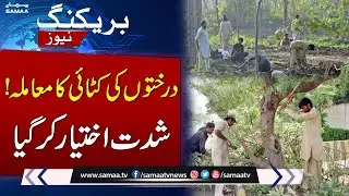 Trees Cutting Issue Reaches National Assembly as PPP Side With Opposition | Pakistan News | SAMAA TV