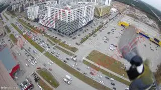 Привет от Сургутской синицы