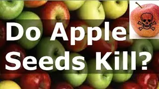 Apple Health Benefits | Hidden Danger in Apple Seeds | Dr M.Imran Explains Amygdalin & HCN Toxicity