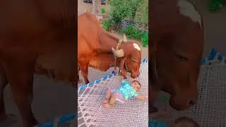 कैसे गिर माता बच्चे के साथ खेल रही हैं 🙏🙏#shorts