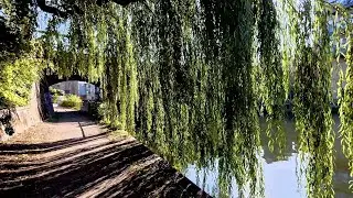 A short sunny walk to Carrow Bridge, Norwich