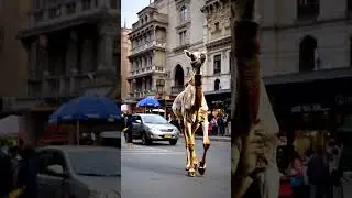 AI Camel Having Fun.                     #aicamel #aiart #ai #aivideo #dameungrrr #viral #trending