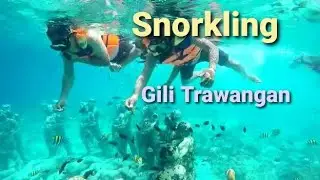 PERJALANAN KE LOMBOK | SNORKLING GILI TRAWANGAN | LIHAT PENYU DI LAUT