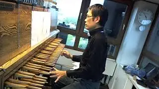 Livestream von carillon berlin