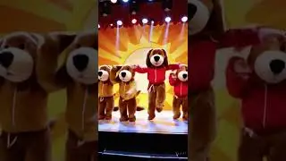 Pet Fashion Star! Dancing Plush Puppy in Bright sports Outfit