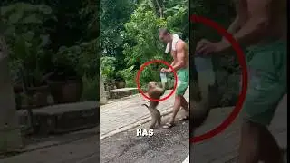 The Monkey Fought for His Juice Like a Boss 🐒❤️ #shorts
