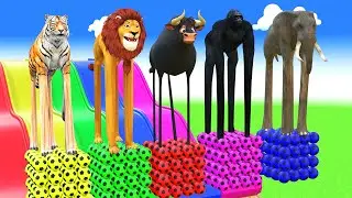 5 Giant Duck Cartoon🐥 Cow, Giraffe, Elephant, Lion, Paint Wild Animals Crossing Fountain Animal Game