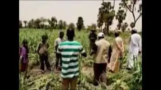 Farmers - Regreening the Sahel