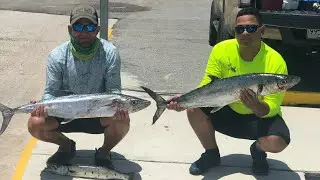 King Fish and Barracuda Fishing La Chapi Fishing Team 1