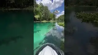 Most Beautiful Place in Florida! #florida #amazing #places #floridasprings