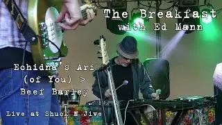The Breakfast w/Ed Mann: Echidna's Arf (of You) &rarr; Beef Barley [4K] 2015-10-10 - Shuck N Jive