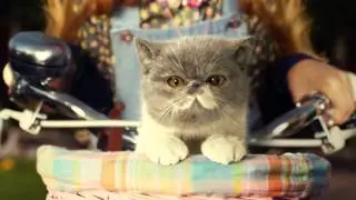 MPC - The Moving Picture company Global Advertising Reel 2014